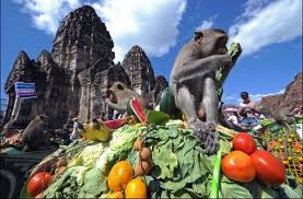 Monkey Buffet Festival Lop Buri Thailand 2012