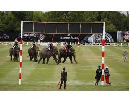 King’s Cup Elephant Polo Tournament 2012 Hua Hin Thailand