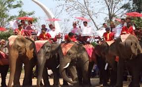 2013 Wedding Ceremony on Elephant-Back – Surin